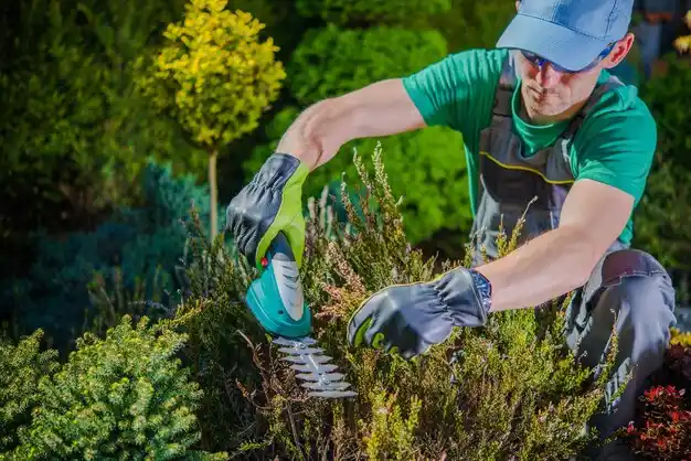 landscaping services Quincy